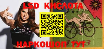 прущие грибы Брянск