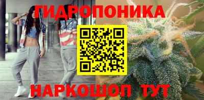 прущие грибы Брянск