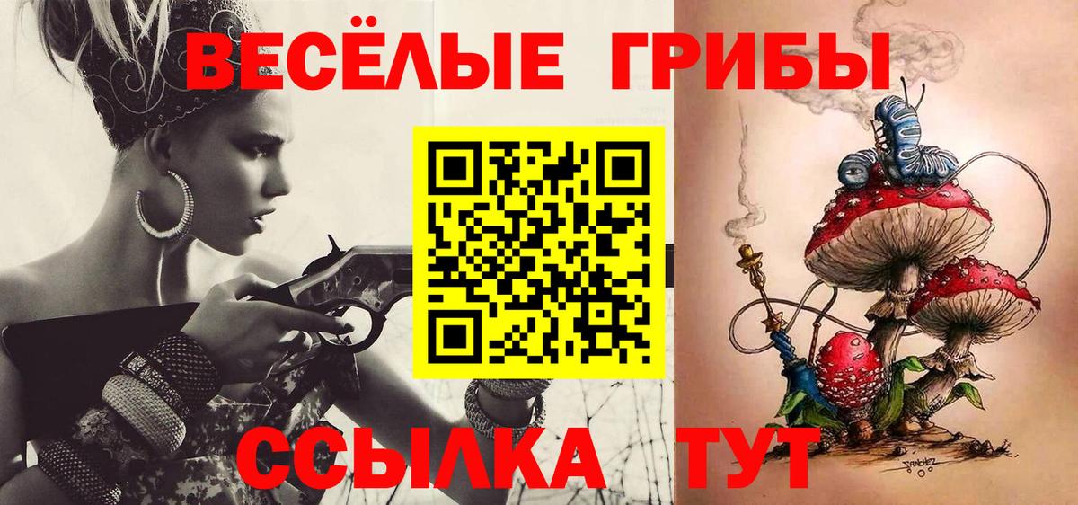 Галлюциногенные грибы GOLDEN TEACHER  Вход с VPN  Ахтубинск 